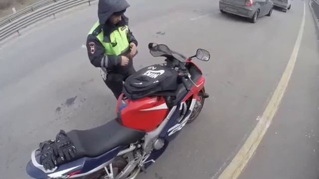 Funny cat.ПРИКОЛЫ.БАНАН ВЫРУЧИТ ))