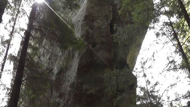 Гринява травневі свята
