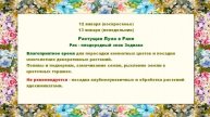 Лунный календарь комнатных растений и цветов на январ