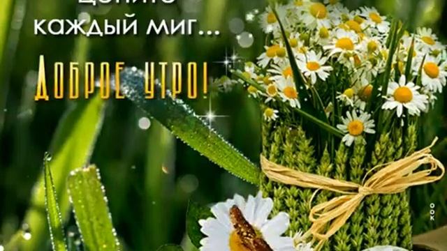 доброе утро Всем...