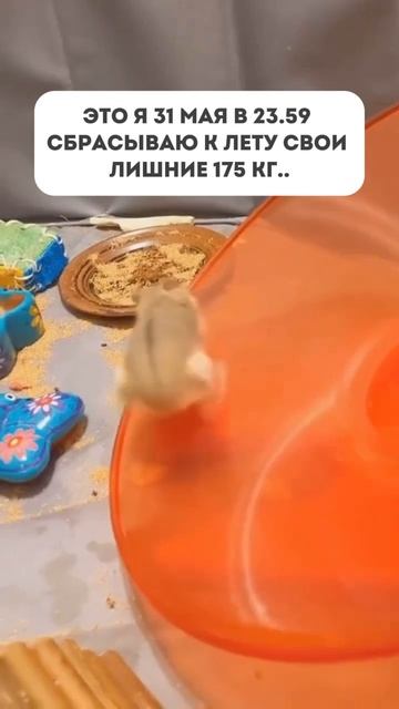 ❗️Последняя возможность провести это лето без диет и начать худеть в удовольствие❗️Читай Комментарии