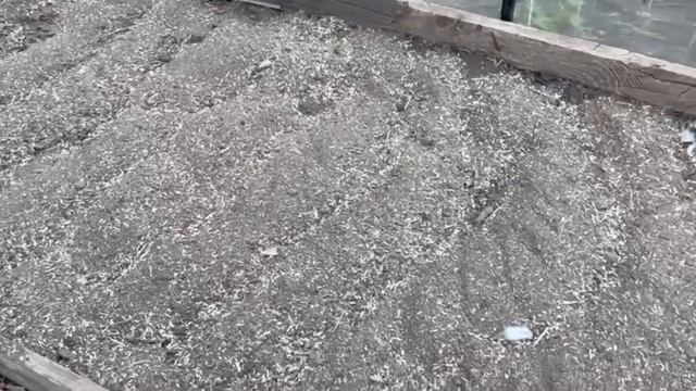 Земля в моей теплице стала плодородная, насыпаю это и ?