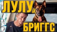 Ченнинг Татум в фильме "Лулу и Бригс" комедия 2022г США
