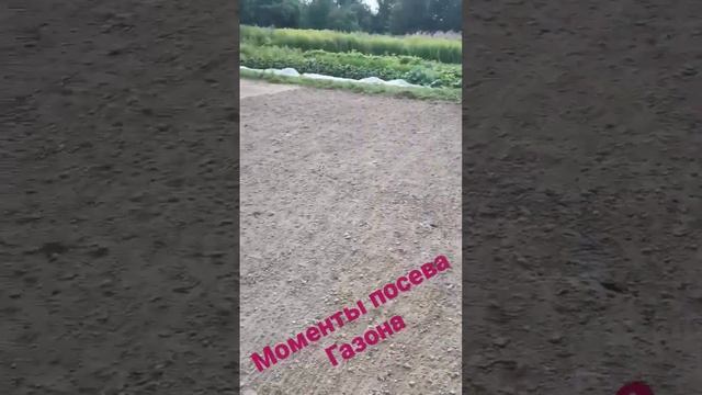 газон своими руками. все операции.