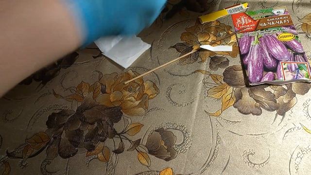 Посадка разных сортов баклажанов.11.03.2025 года