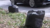 Новости МТРК 05.05.2025