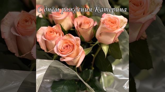 Sab Bass Dendos - С днём рождения Катерина 2