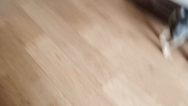 1000013774.mp4