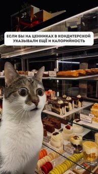 Дарю 2 рецепта пп-десертов в комментариях
