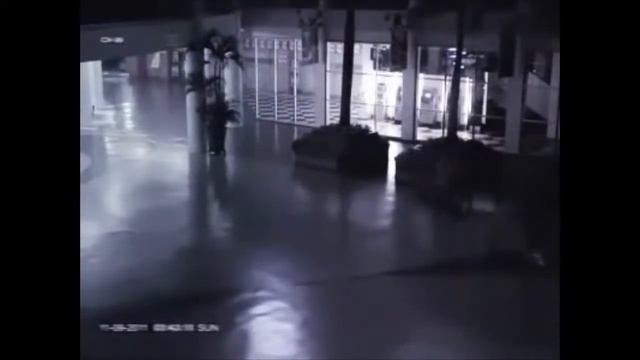 ТОП 5 СТРАННЫХ СУЩЕСТВ, СНЯТЫХ НА КАМЕРУ