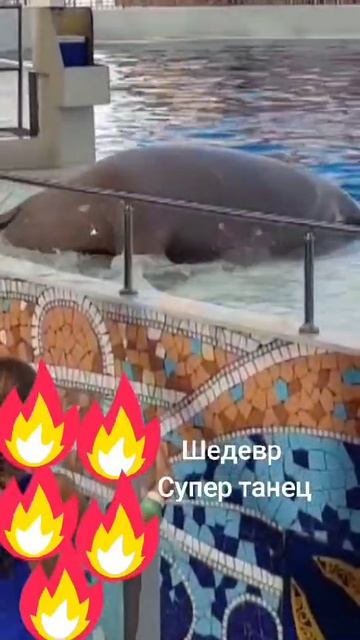 Шедвер супер танец