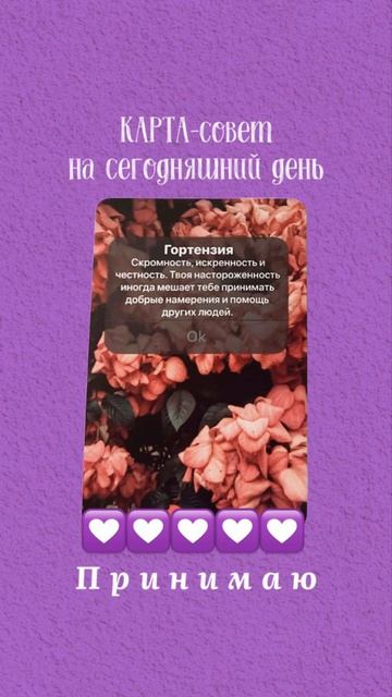 Карта-совет