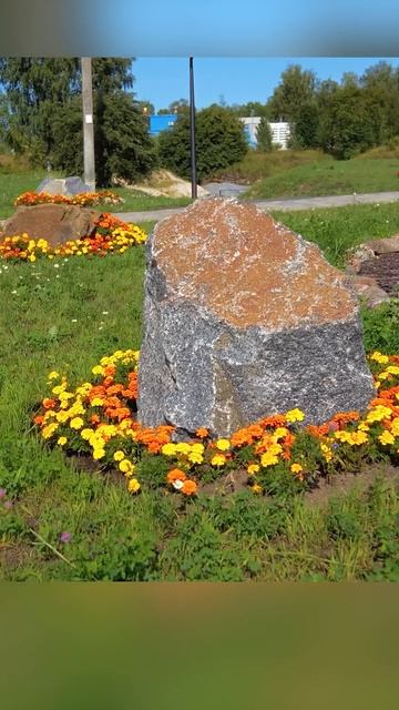 Клумбы из однолетних растений