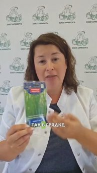 ХИТ сортов зеленого лука на перо.