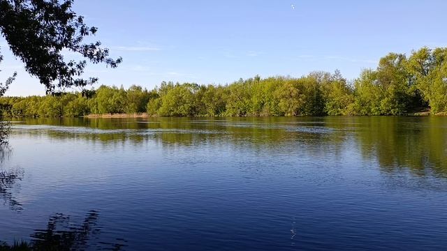 Как прекрасно поют птички 🫶