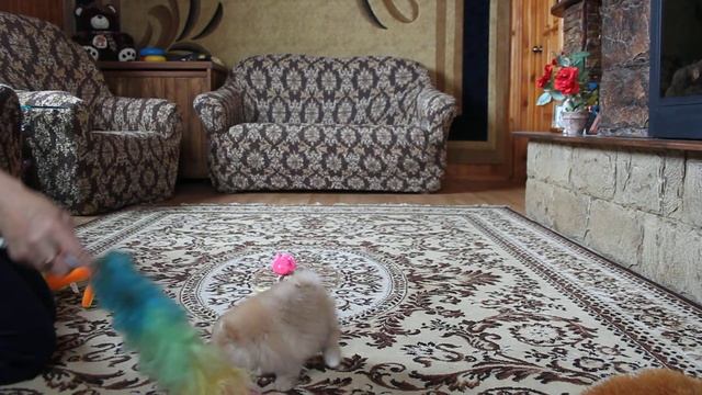 Марьяна из Усадьбы Андреевых