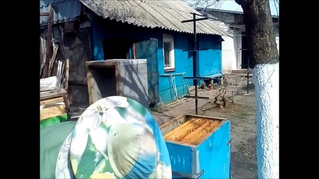 11 04 23 пересадка семей.