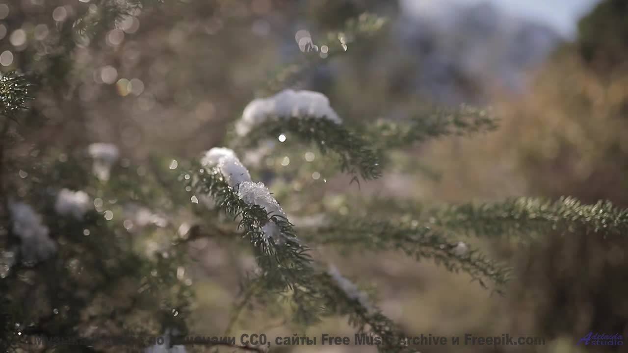 Кадры природы, которые снимут стресс за 3 минуты! - Apple Sauce (noisy retro garage rock) -- Keshco