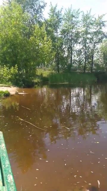 Как в деревне у пруда