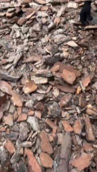 Ландшафтный дизайн участка! Кора от сосны, мульча. Оче?