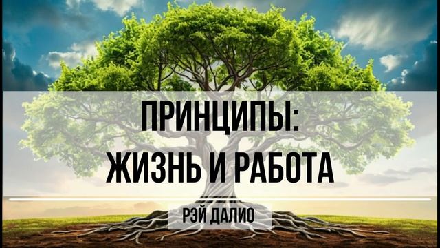 Саммари по книге "Принципы:  Жизнь и работа"