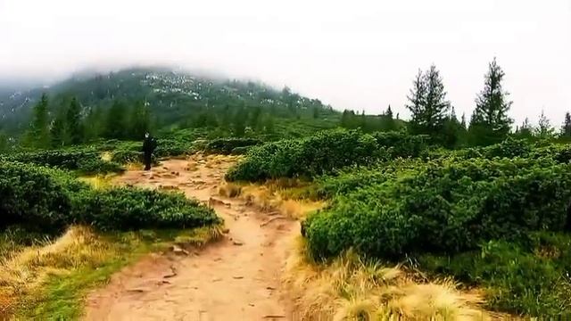 Гори Карпати Говерла