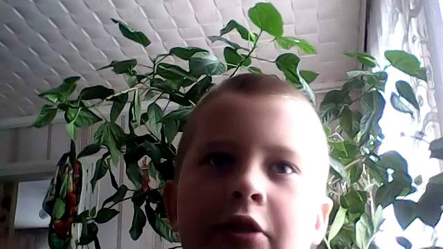 КАК ПРЕДСТАВИТЬ СЕБЯ В 1 ВИДЕО