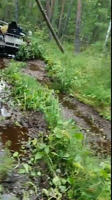 болото не держит.. спасла лебедка