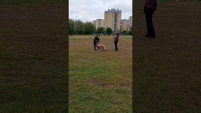 10 сентября 2022 г.