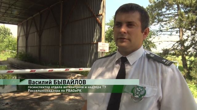 Проверка куриных яиц