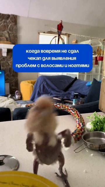 - 50% на Check-Up, который поможет выявить почему слабеют волосы и ногти!