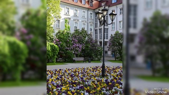 В Калининграде в преддверии 80-летия Дня Победы над нацистской Германией