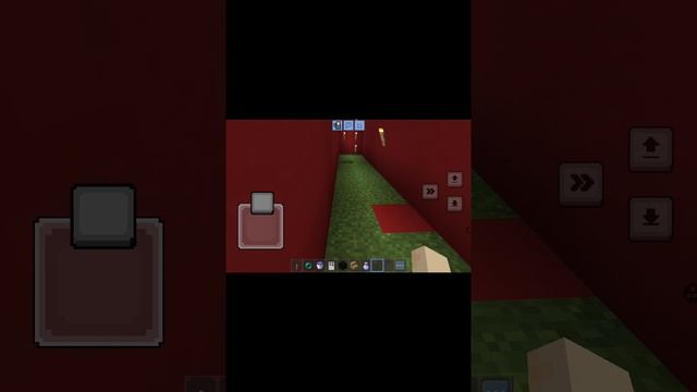 1000001919.mp4