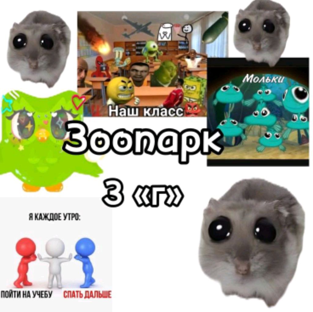 3 г. класс