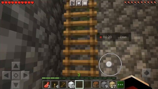 шиза в minecraft