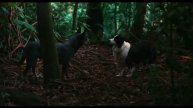 Фильм Одно целое трейлер №1 (2025)