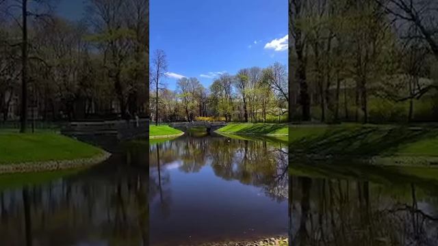 МЕДИТАЦИЯ В МИХАЙЛОВСКОМ САДУ