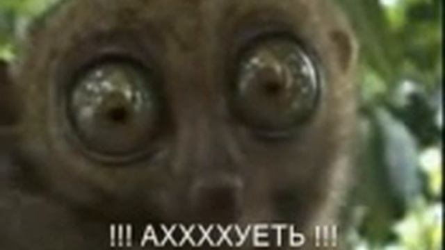 зарплату ждут