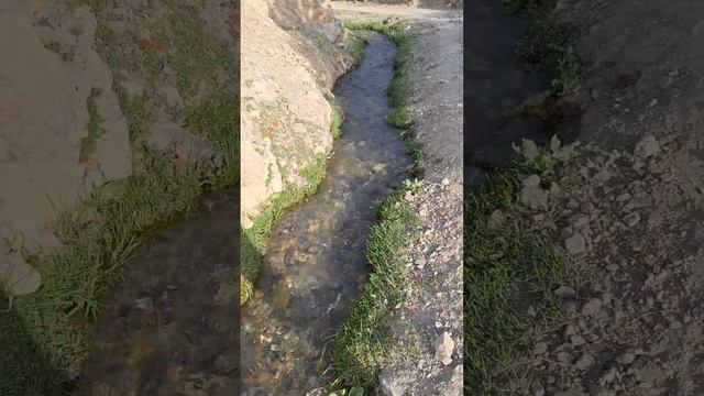 ТОБИСТОНИ АРТУЧ 27.06.2023