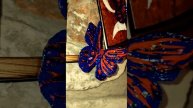 Бабочки 3D*