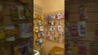 #Бабуля48 в гостях у СветикаЗоомагазин !!!