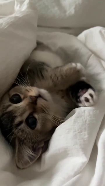 ♡необыкновенное чудо♡