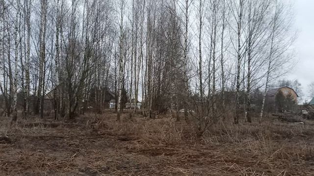 Торги на земельный участок с КН 50:04:0100601:1497