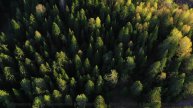 Песня, которая звучит как обещание, данное на рассвете... - Too Many Roads -- One Man Book -- Brand
