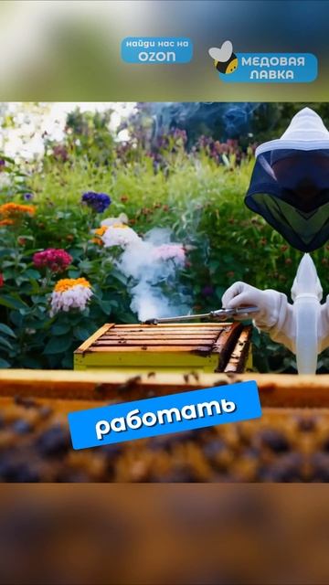 ОПАСНЫ ли ДИКИЕ ПЧЁЛЫ?!🍯🐝#пчелы #факты #здоровье #мёд #пчеловодство #топ #еда #рек #интересно