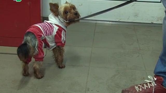 ППС спешит на помощь