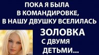 Истории из жизни Пока была в командировке в нашу двушку вселилась Аудио рассказы жизненные истории