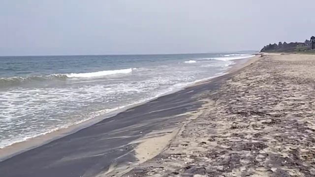 ВИДЕО - 54. ЯТРАХ ДХАРМА ТАТРА ДЖАЙЯ.