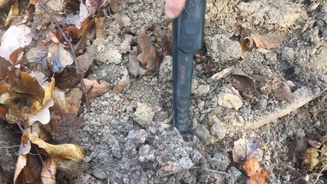 Звичайний коп - звичайні знахідки