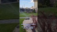 Автополив и рулонный газон #ландшафтныйдизайн #автопо